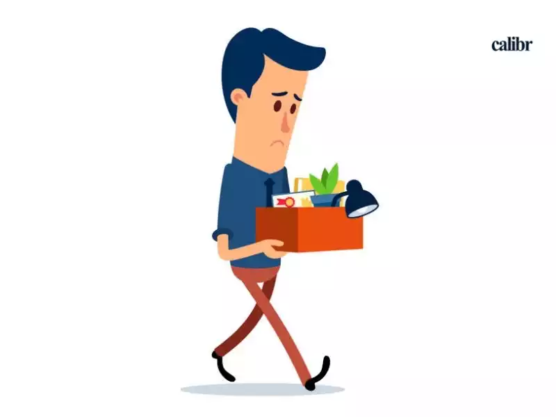 Cover Image of How to say you were laid off on a job application