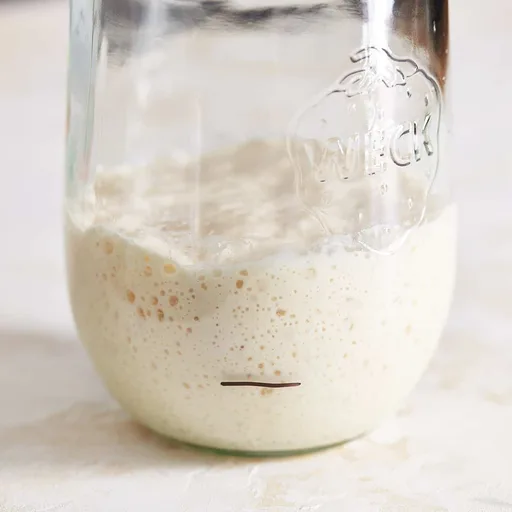 Sourdough Starter