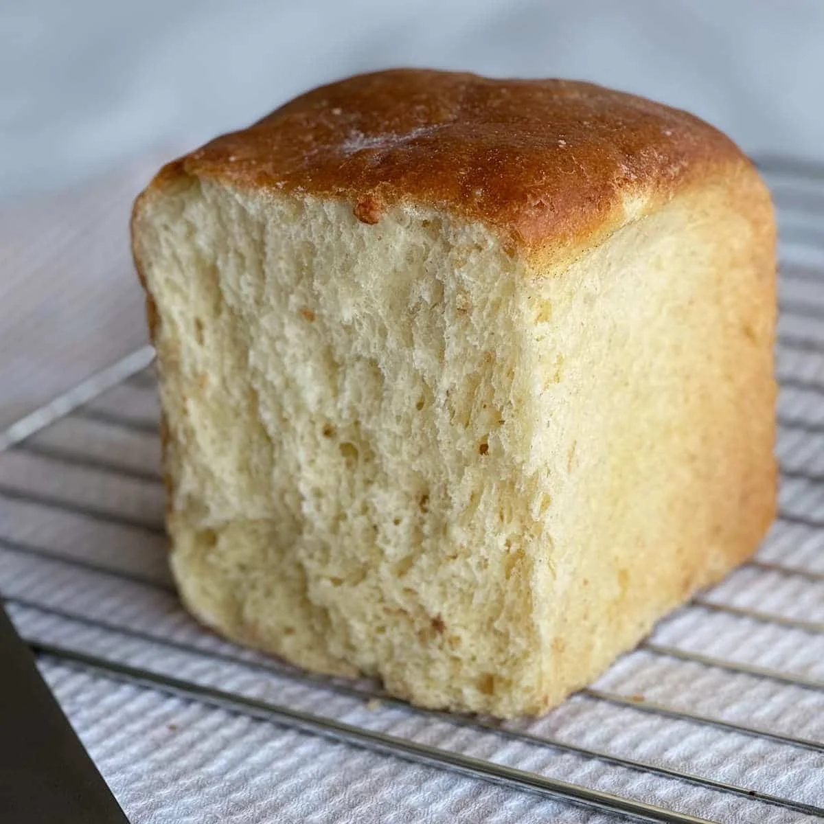 Brioche