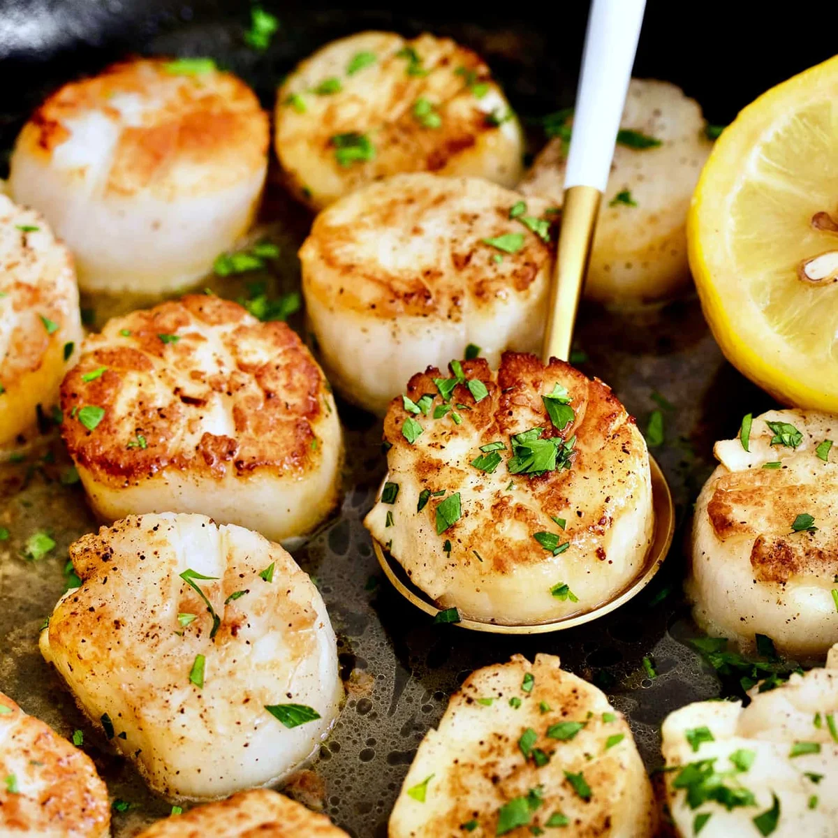 Pan Seared Scallops