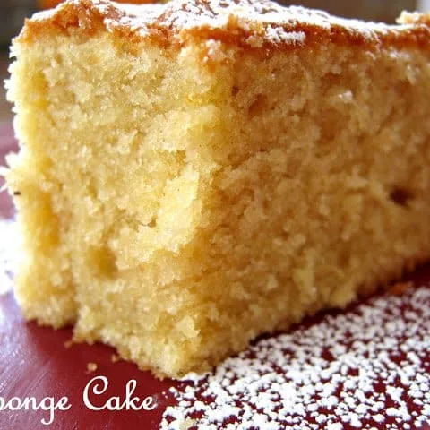 Christmas Sponge Cake