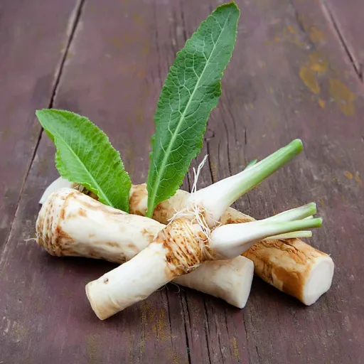 Homemade Horseradish Sauce Substitute Recipe