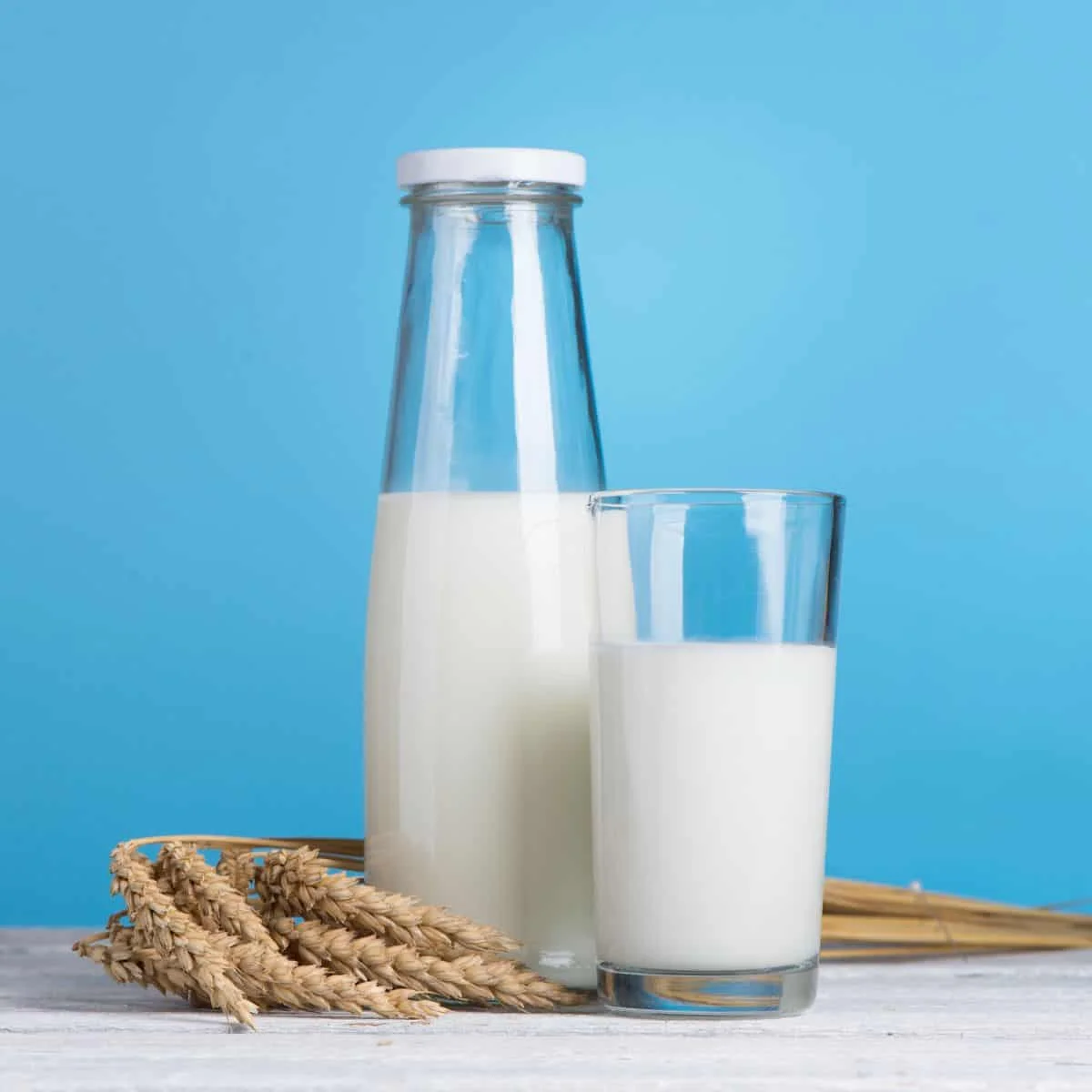 Best Whole Milk Substitutes