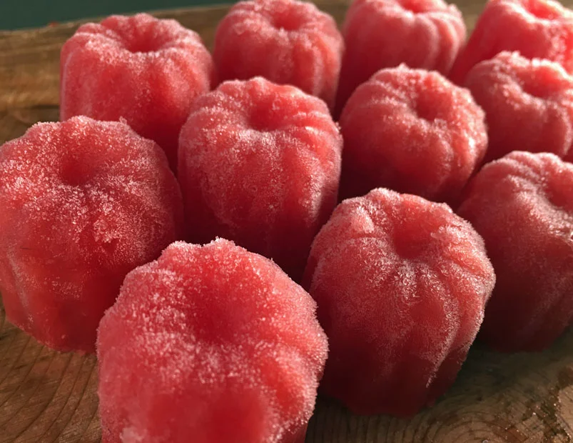 Watermelon Campari Ice Cubes
