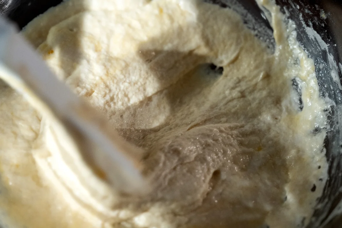 Wild Sourdough Starter