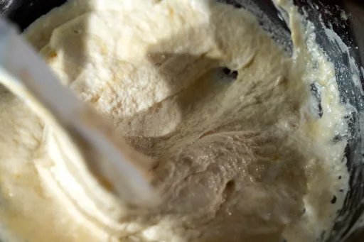 Wild Sourdough Starter
