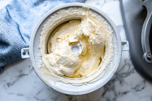 BEST Vanilla Ice Cream Recipe