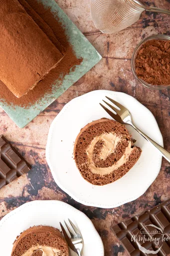 Chocolate Swiss Roll Recipe