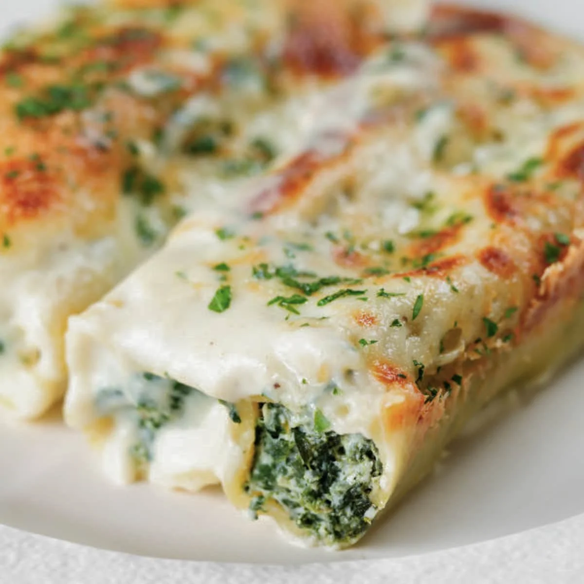 Spinach Ricotta Cannelloni