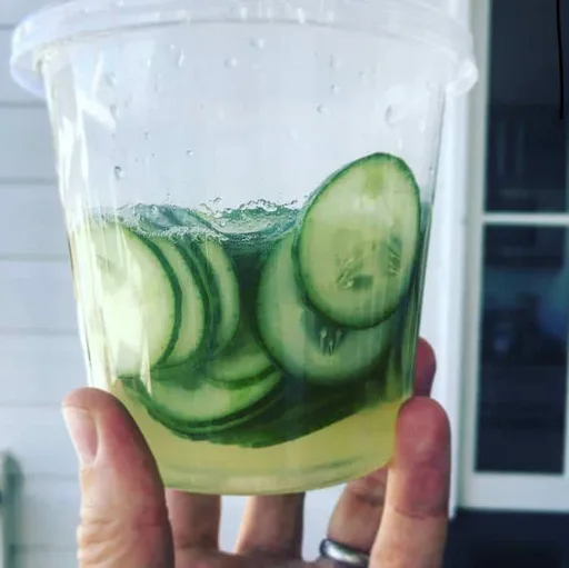 Pepinillos en Vinagre Rápidos