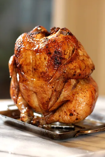 Pollo sentado