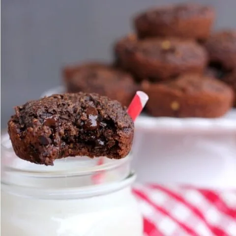 Chocolate Peanut Butter Oatmeal Brownie Bites