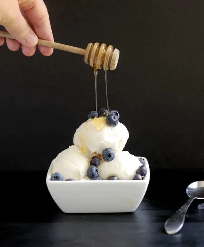 Frozen Yogurt with Honey & Vanilla Beans