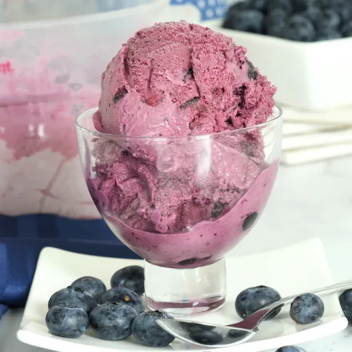 Blueberry Ice Cream Recipe