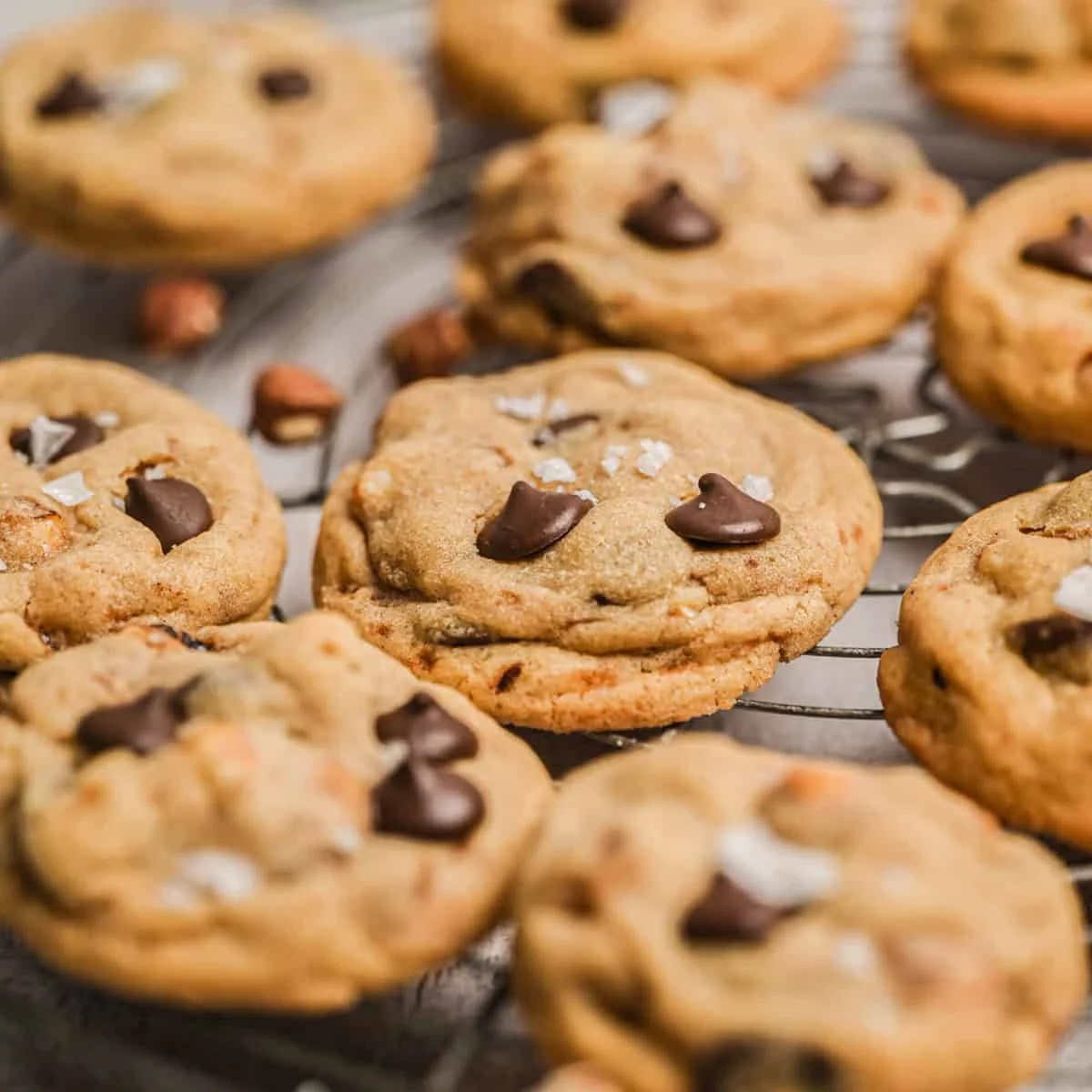 Chocolate Hazelnut Cookies