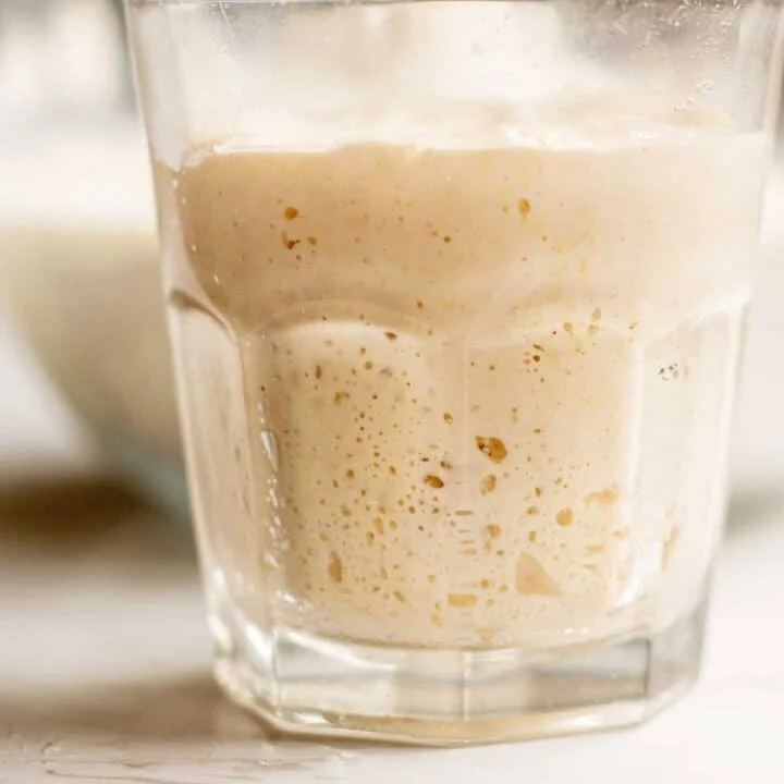 Sourdough Starter Recipe