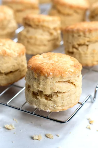 Plain Scones