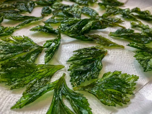 Hojas de apio fritas