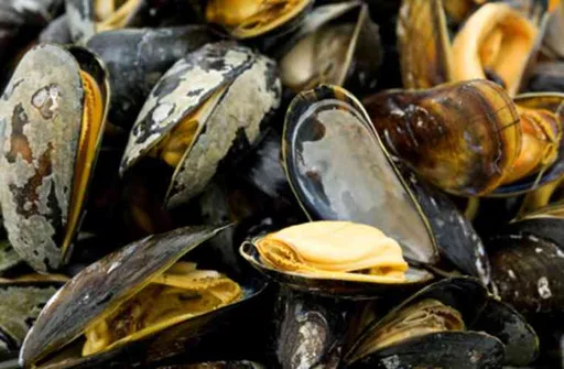 Mejillones Borrachos
