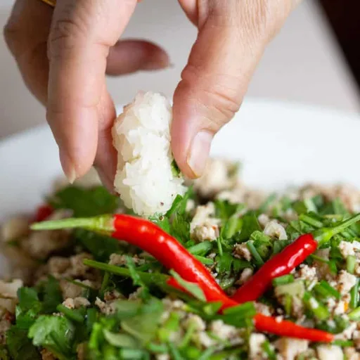 Easy Authentic Chicken Larb Gai Recipe