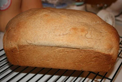 Whole Wheat Bread