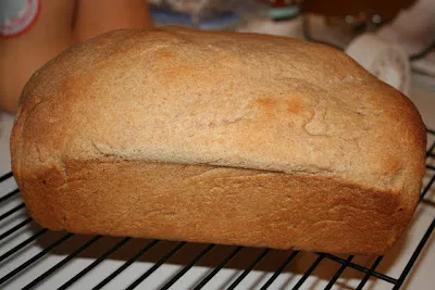 Whole Wheat Bread