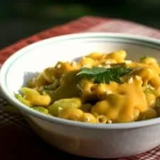 Creamy Vegan Mac and Cheese