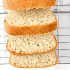 Egg-Free Gluten-Free Bread