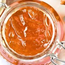 Homemade Orange Marmalade (Gluten-Free, Pectin-Free)