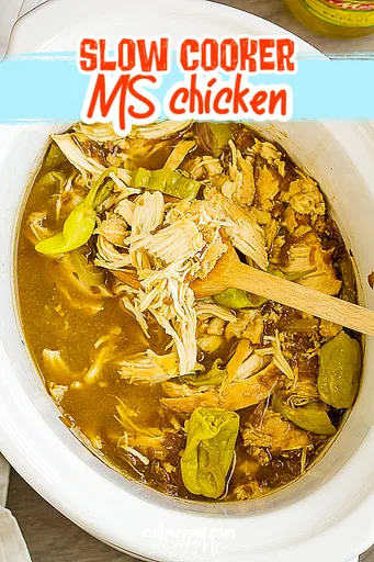 CROCK POT MISSISSIPPI CHICKEN RECIPE