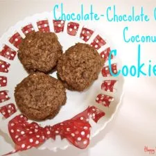Chocolate-Chocolate Chip Coconut Cookies