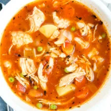 Instant Pot Chicken Vegetable Soup
