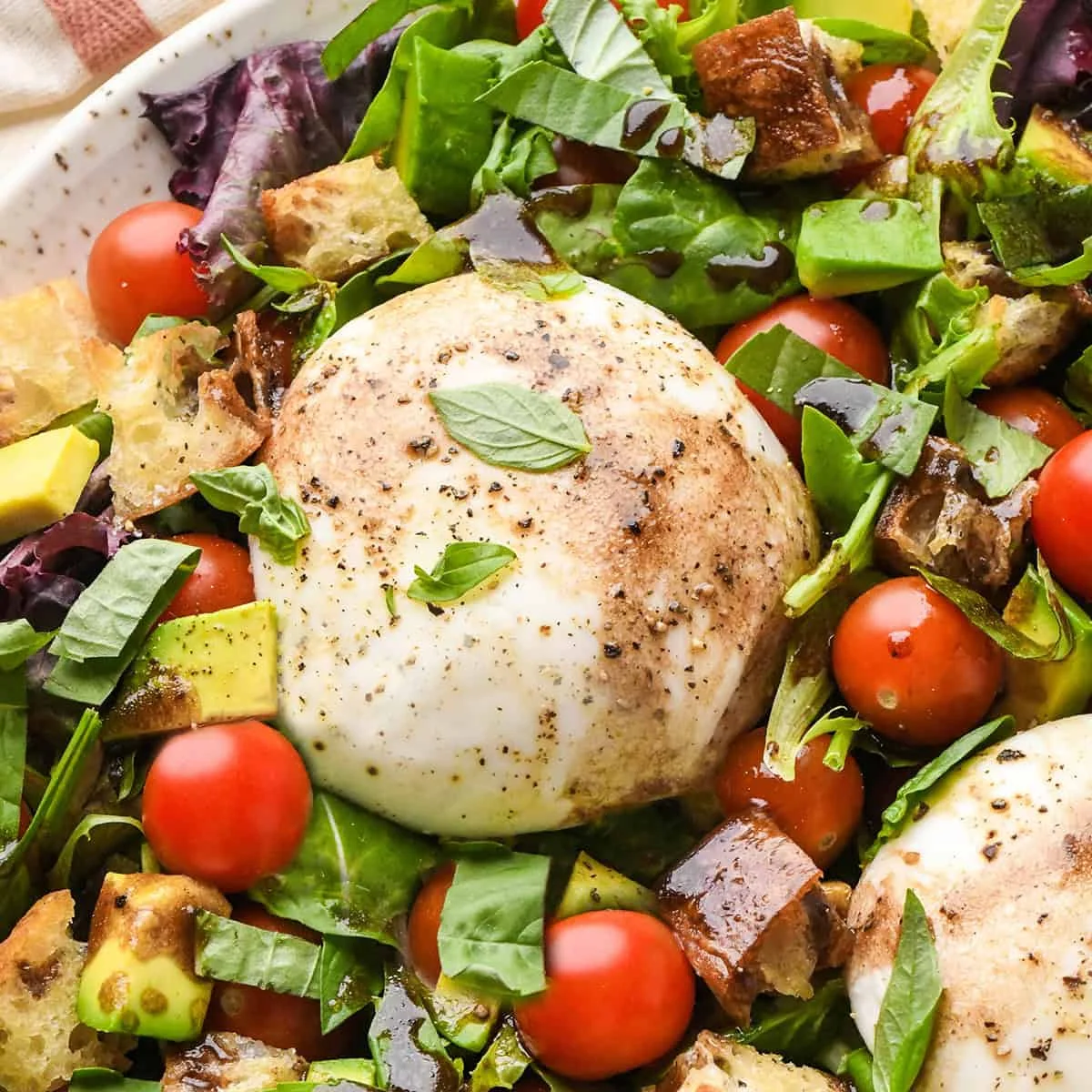 Burrata Salad Recipe