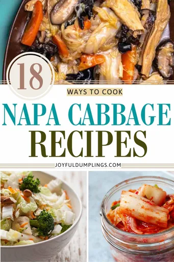 Las 18 mejores recetas con col china