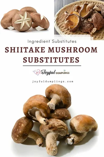 Los mejores sustitutos de las setas shiitake (2023)