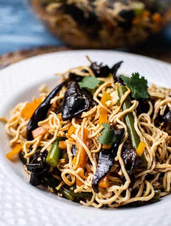 Bean Curd Noodles