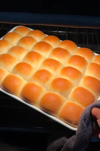 Dinner Rolls
