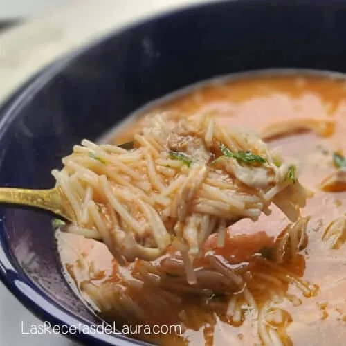 Sopa de fideos con pollo