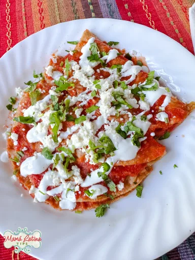 Recetas de Entomatadas de Queso