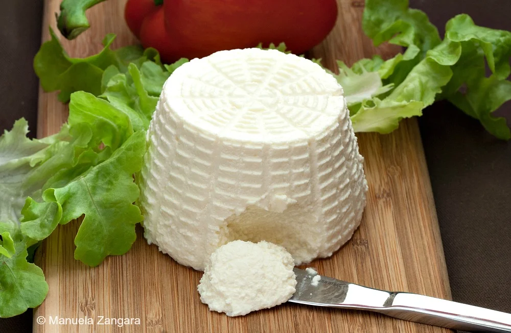 Goat’s Milk Ricotta Recipe