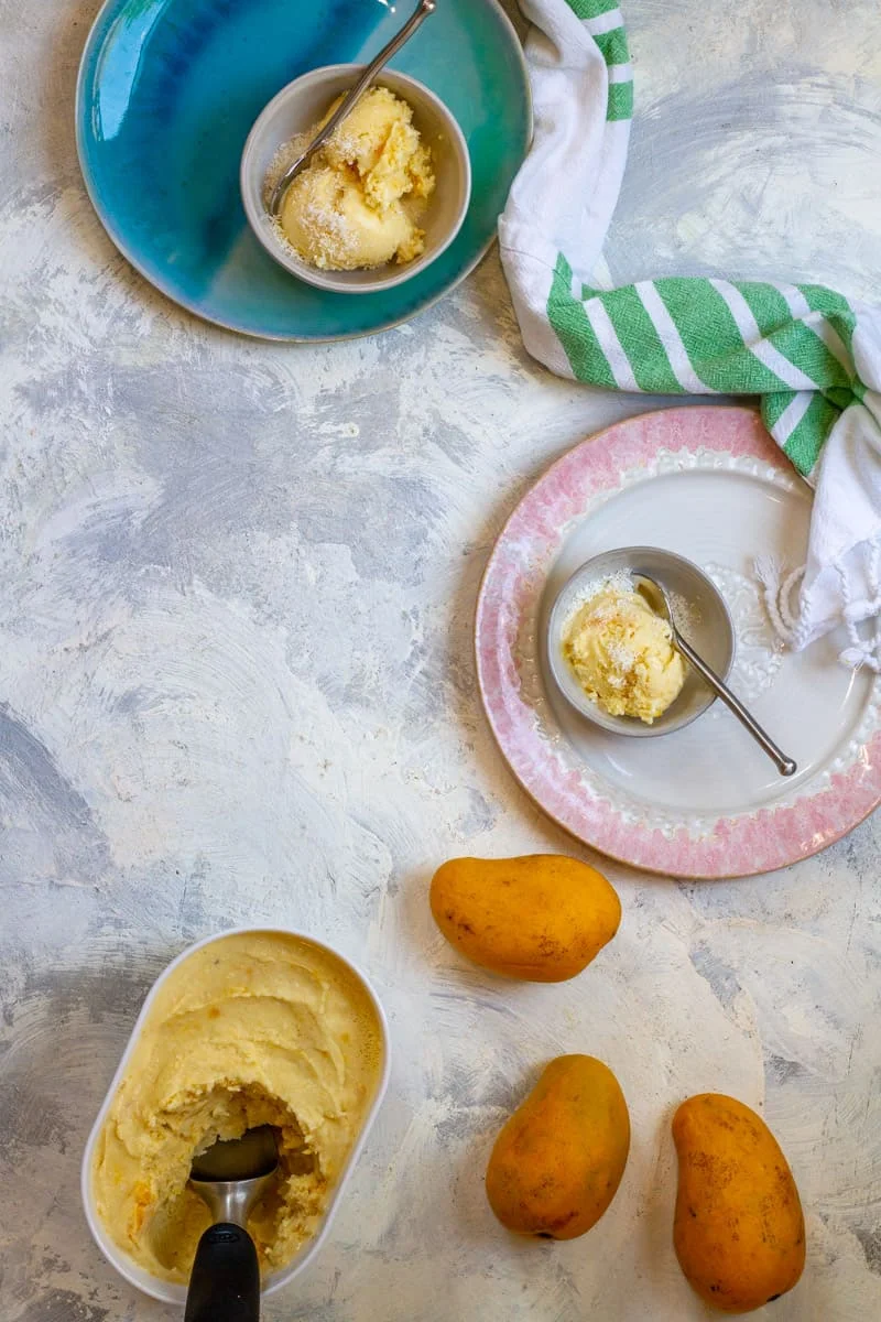 Mango Frozen Yogurt