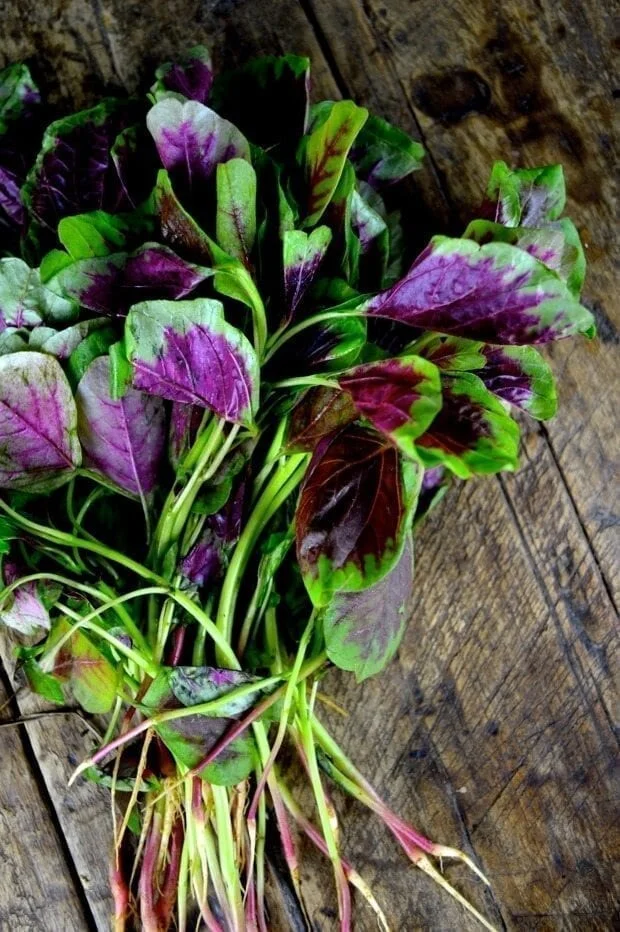 Stir-fried Pink Amaranth Greens