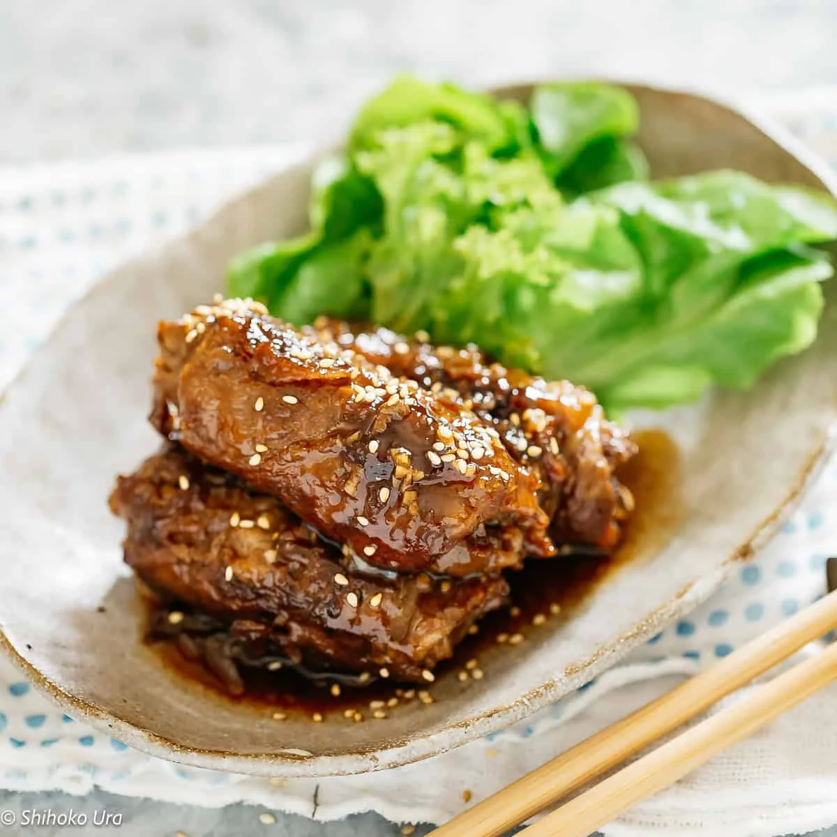 Beef Negimaki 牛肉のネギ巻き