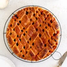 Rhubarb Pie
