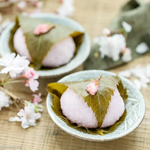 Cherry Blossom Rice Cake 桜餅