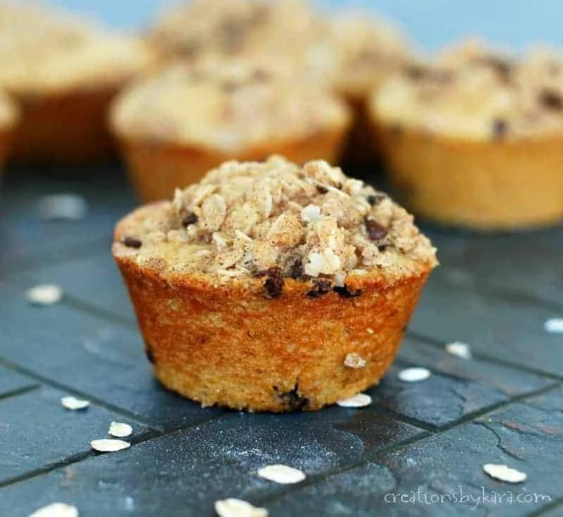 Chocolate Chip Oatmeal Muffins