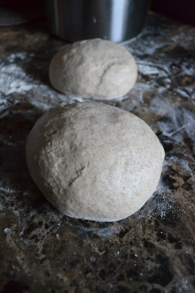 Homemade Pizza Dough