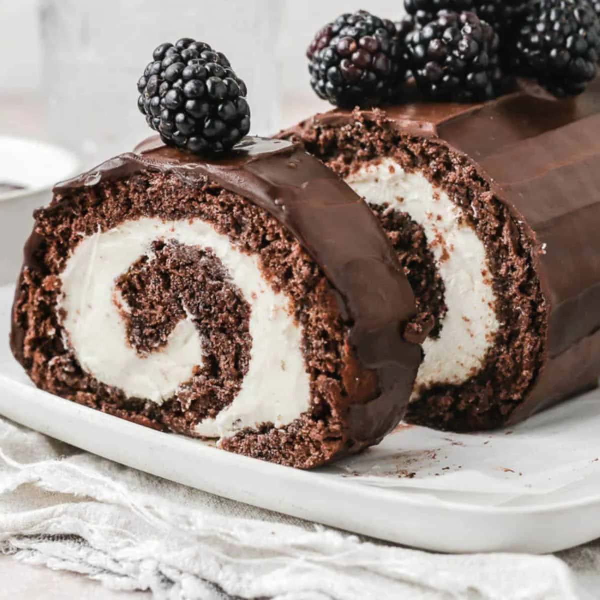 Chocolate Swiss Roll Recipe