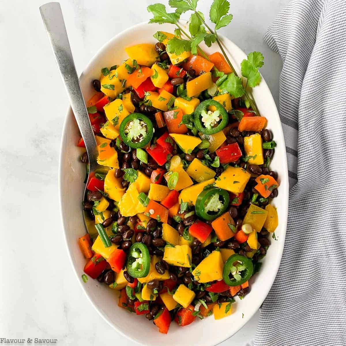 Mango Black Bean Salad with Lemon Lime Vinaigrette