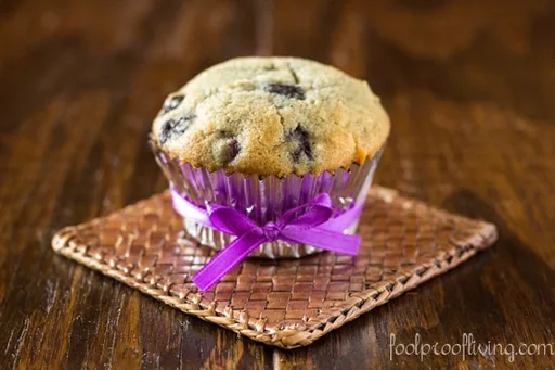 Coconut and Blueberry Muffins